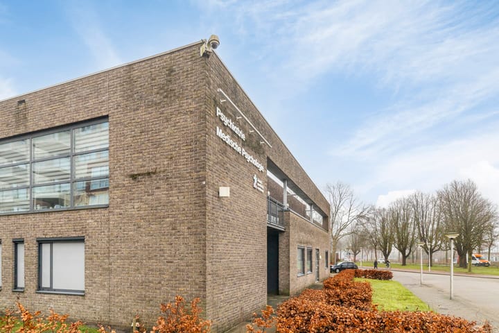 Foto 29 van Josephus Swolfsstraat 49