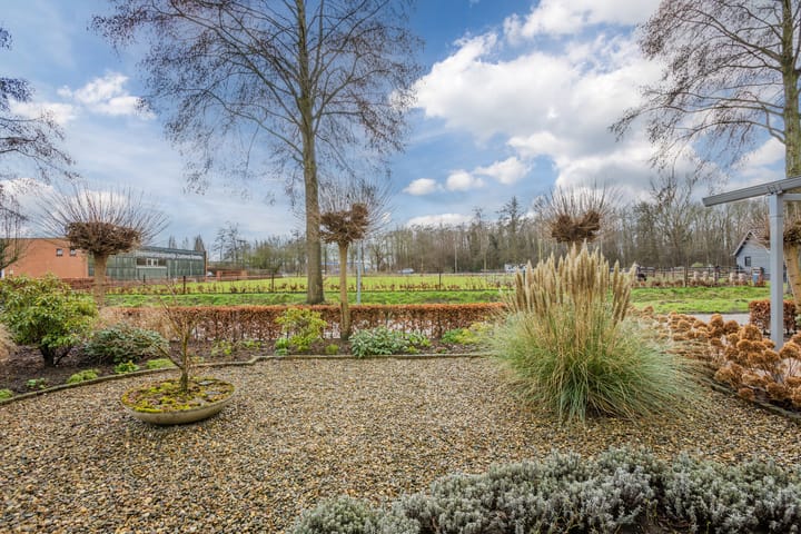 Foto 42 van Lepelaar 56