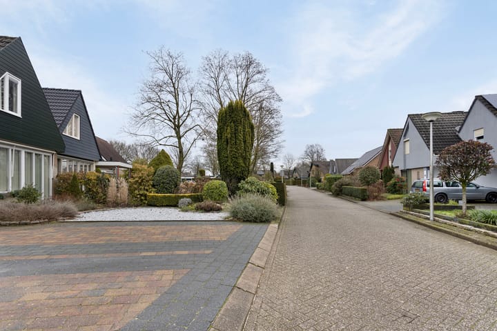 Foto 3 van de Els 43