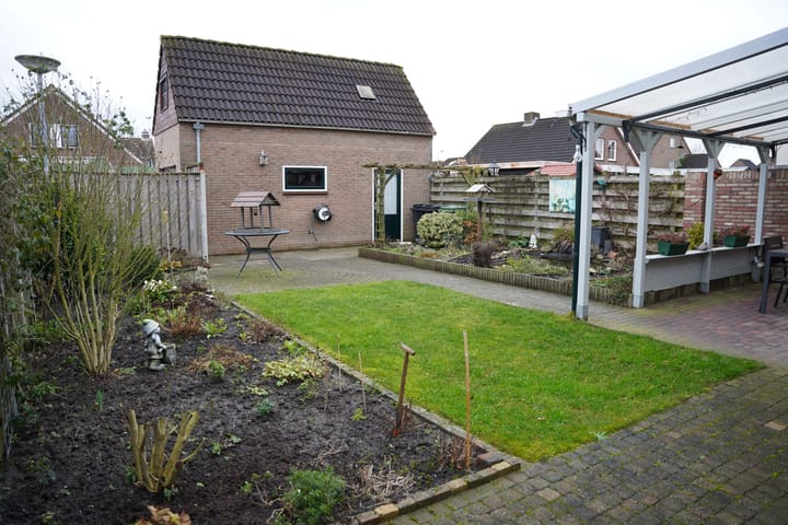 Foto 3 van Schorpioen 10