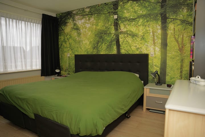 Foto 16 van Schorpioen 10