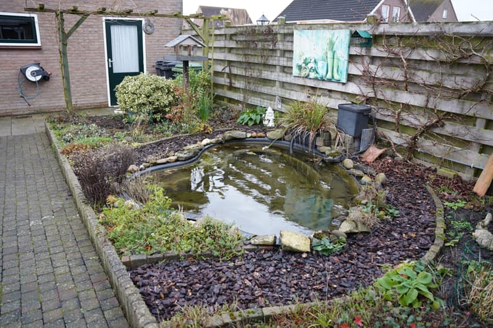 Foto 30 van Schorpioen 10