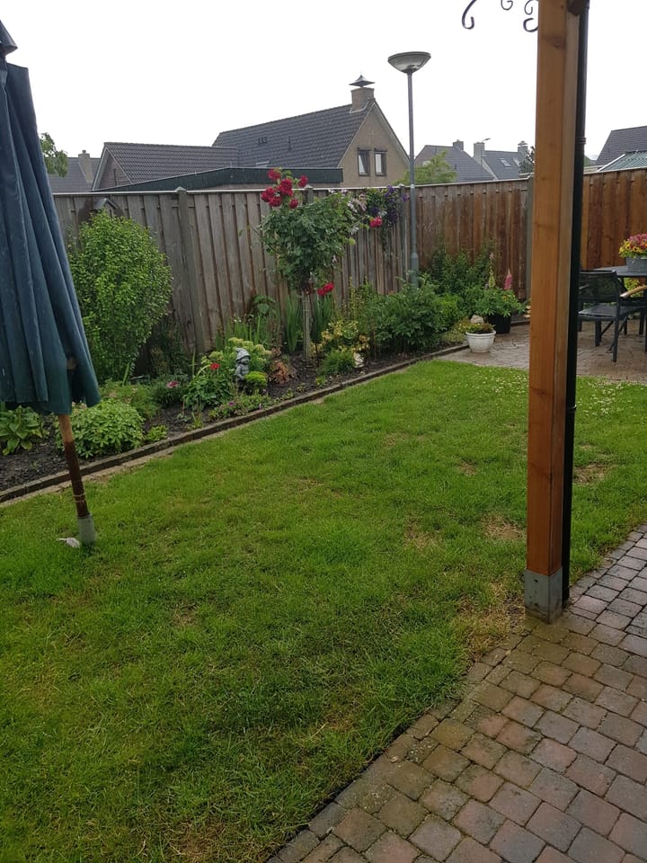 Foto 31 van Schorpioen 10