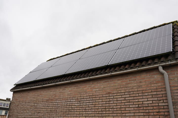 Foto 35 van Schorpioen 10