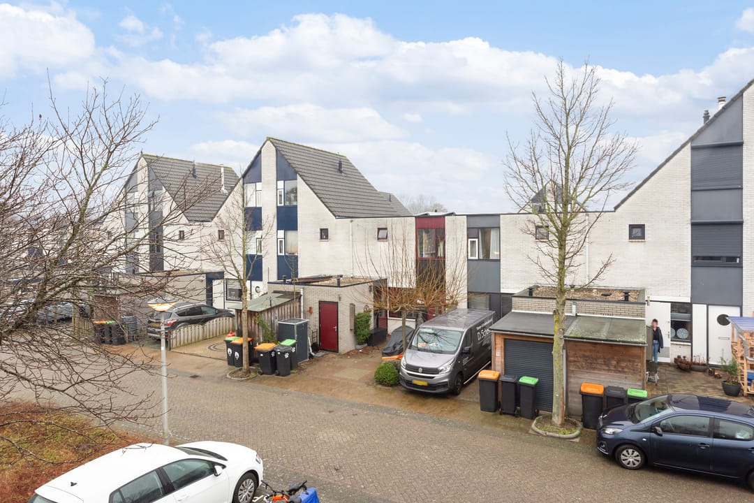 Foto 2 van Zeester 60