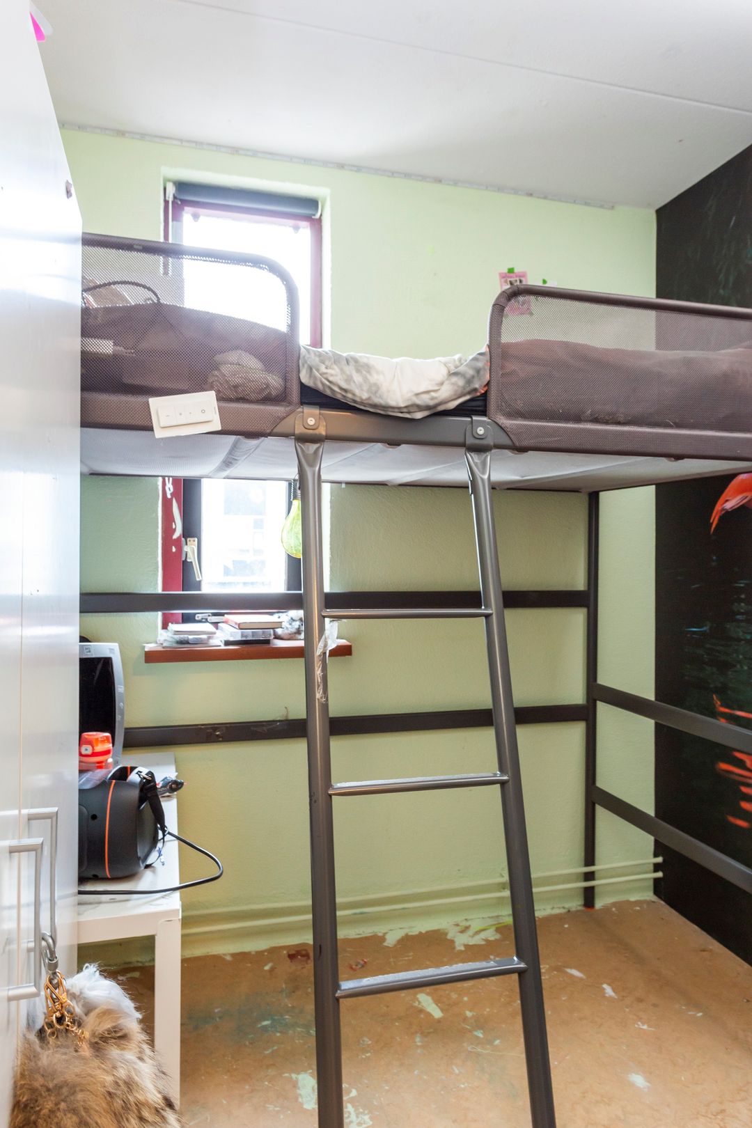 Foto 16 van Zeester 60