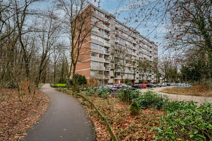 Foto 21 van De Zalmen 115