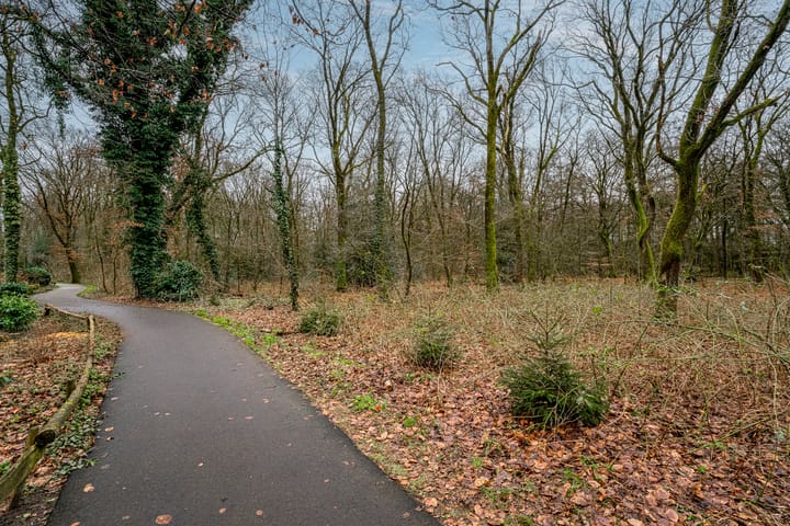 Foto 22 van De Zalmen 115