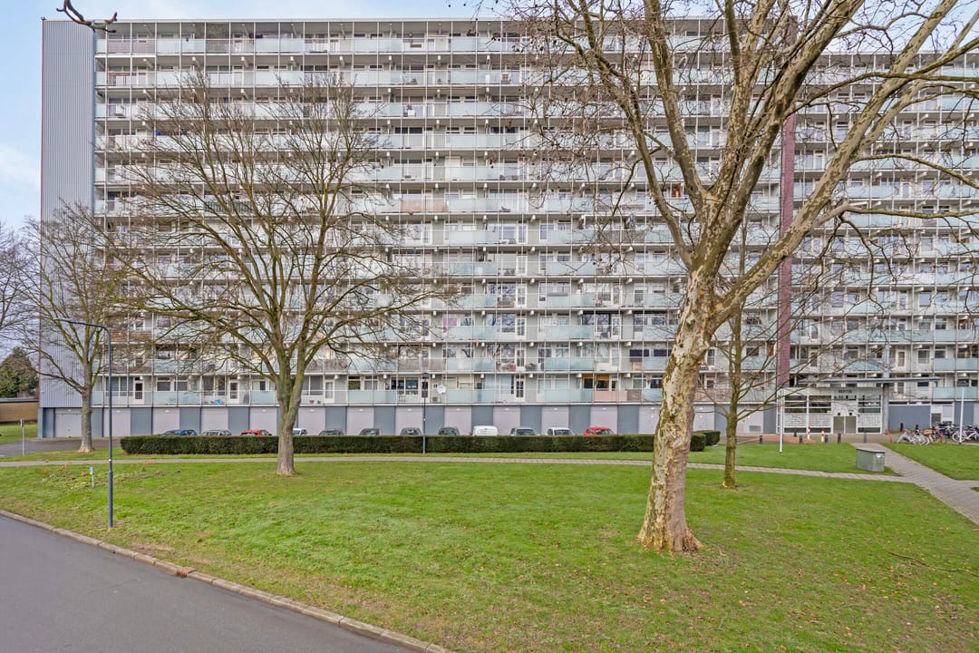 Foto 2 van Eisenhowerstraat 604