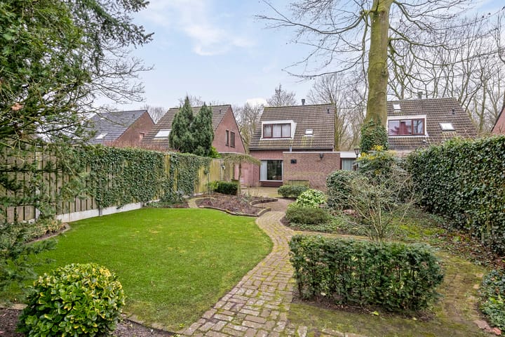 Foto 27 van Looierstraat 6