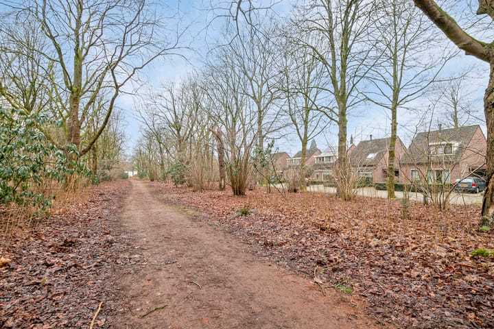 Foto 34 van Looierstraat 6