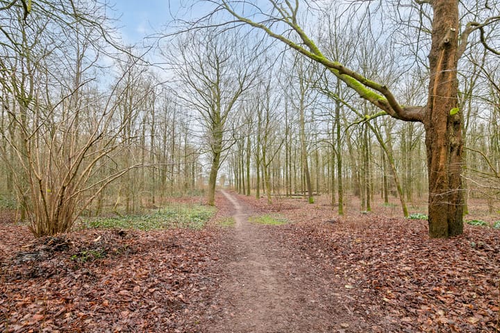 Foto 35 van Looierstraat 6