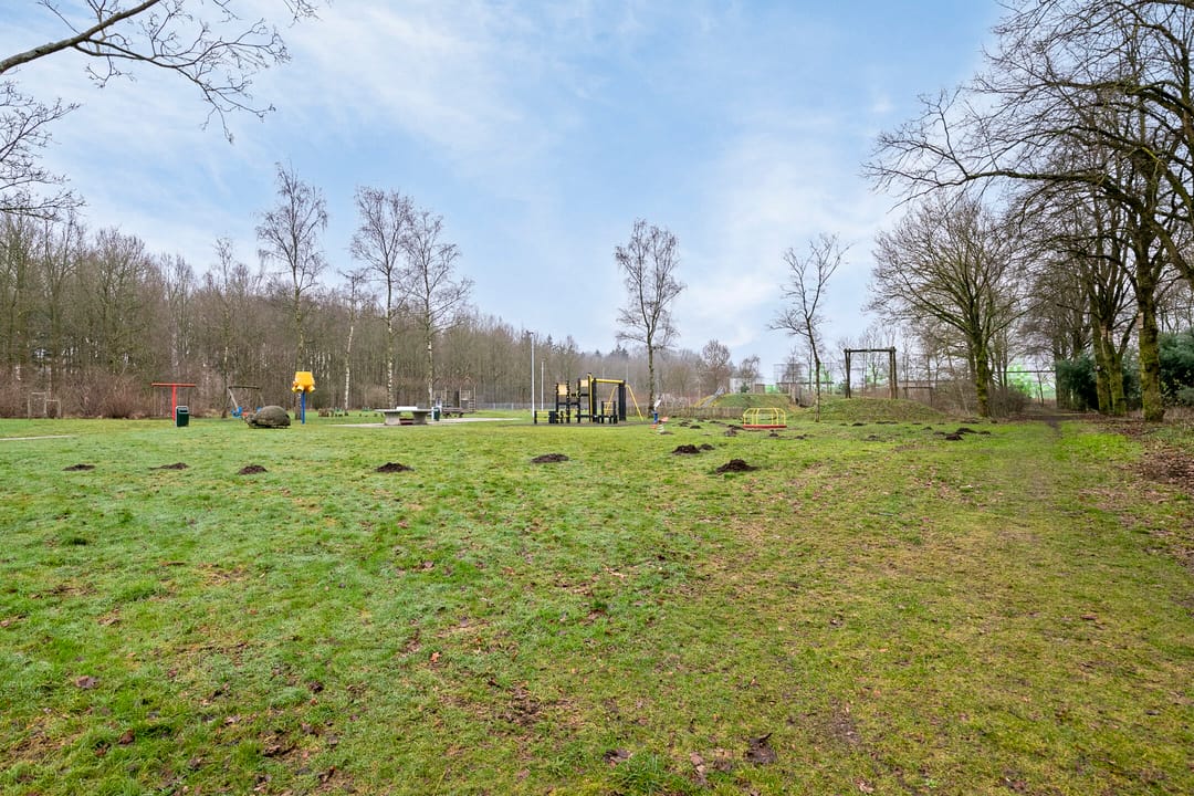 Foto 37 van Looierstraat 6