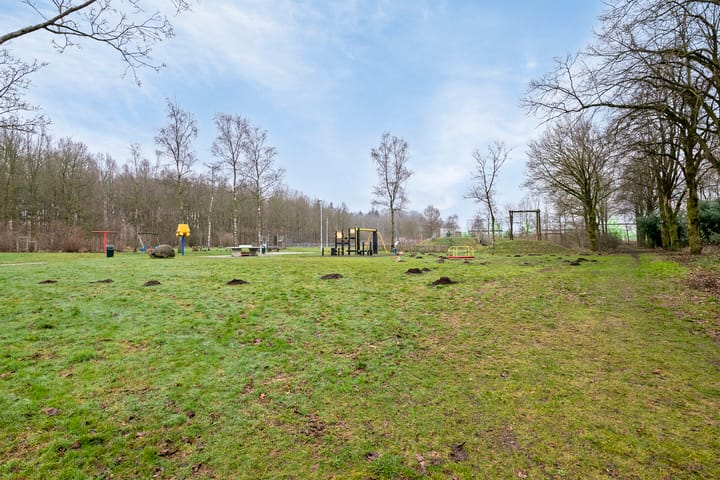 Foto 37 van Looierstraat 6