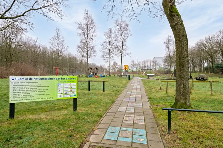 Foto 39 van Looierstraat 6