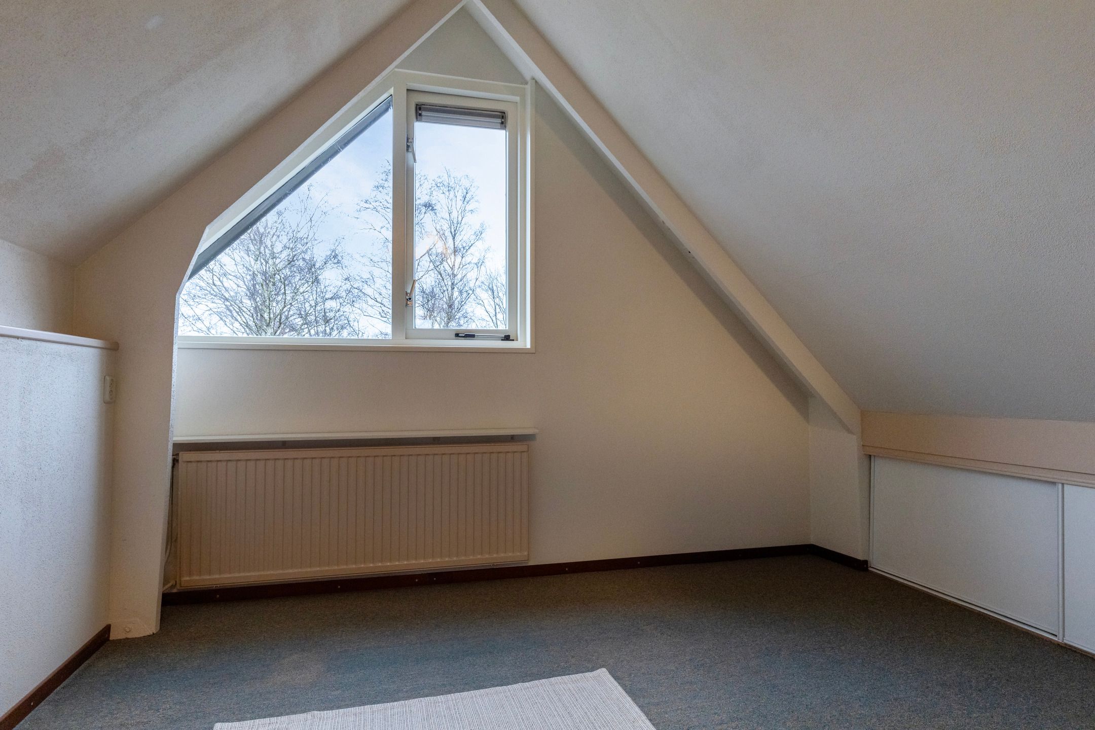 Foto 24 van Roos van Dekama erf 62