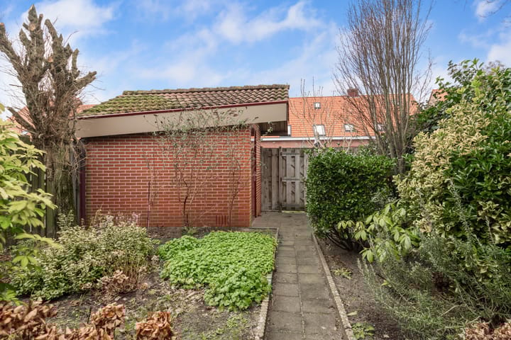 Foto 31 van Pieter acker 111