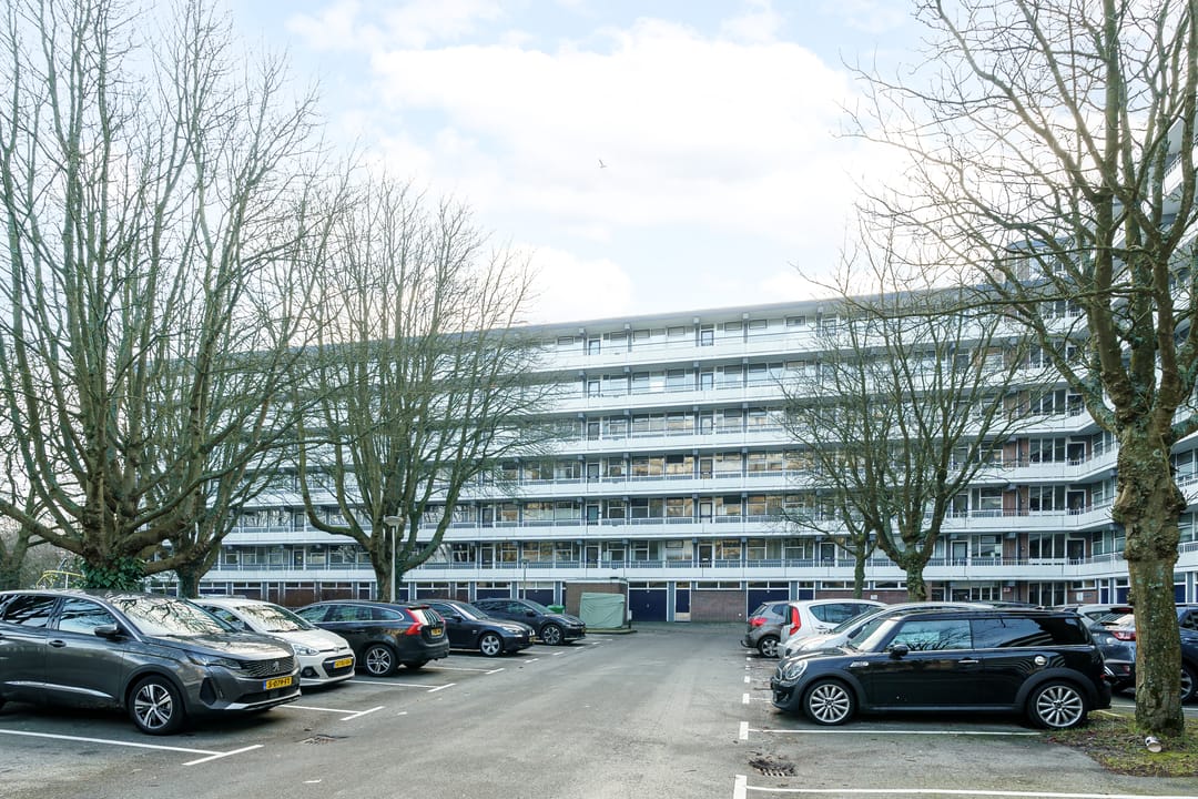 Foto 1 van Herman Gorterhof 80