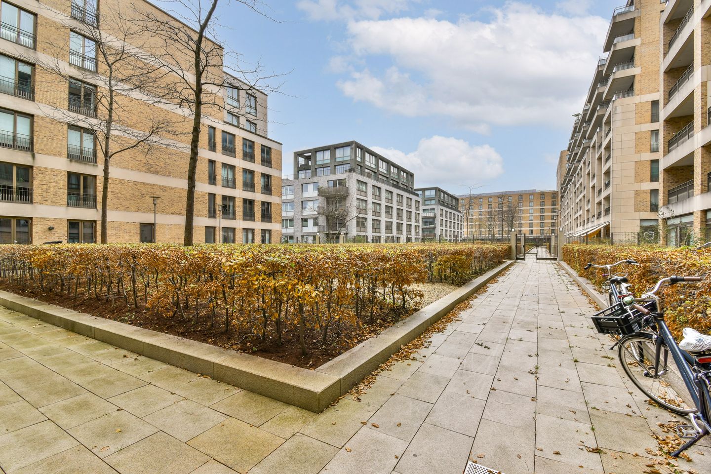 Foto 35 van Titus van Rijnstraat 164