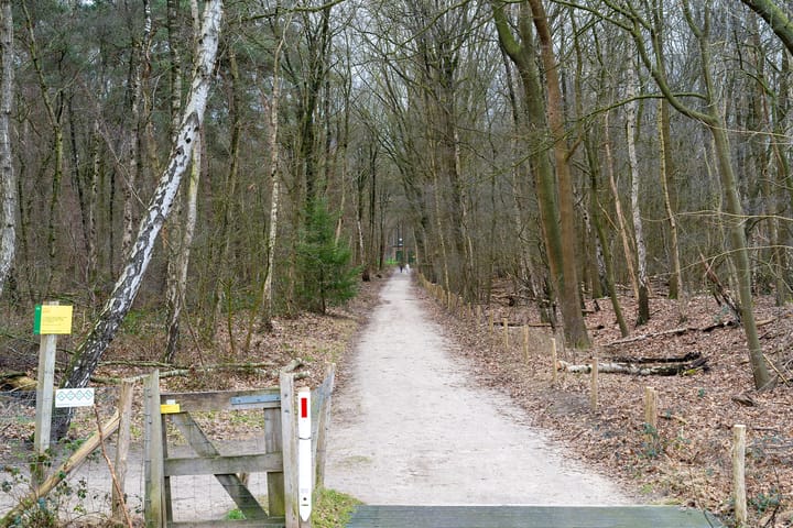 Foto 3 van Akulaan 60