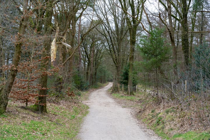 Foto 49 van Akulaan 60