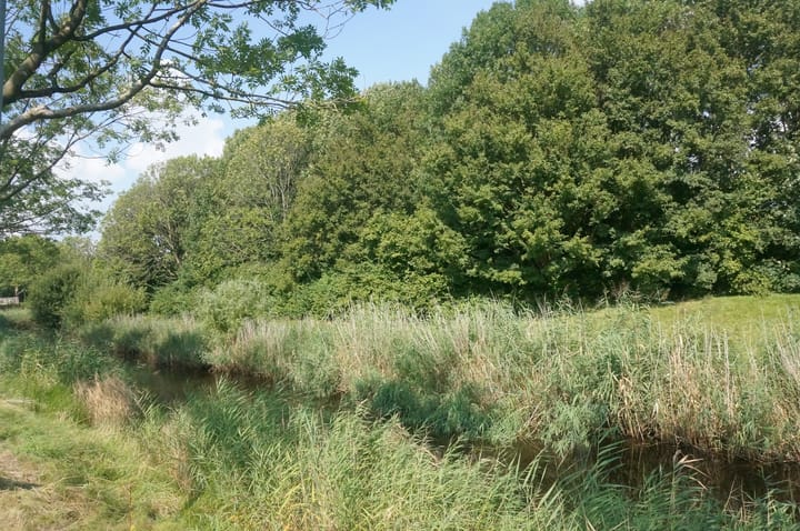 Foto 63 van Klaterbos 117