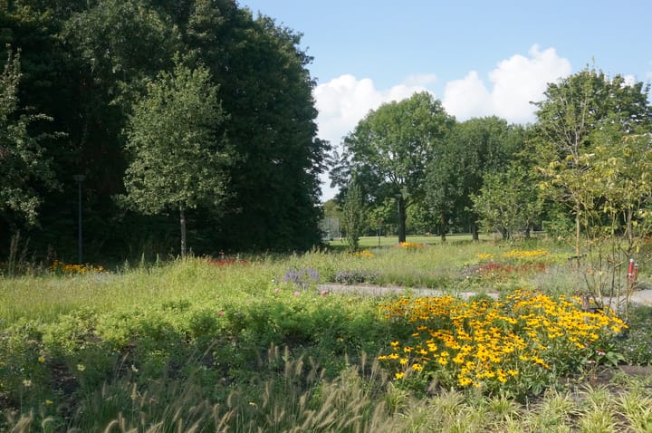 Foto 64 van Klaterbos 117