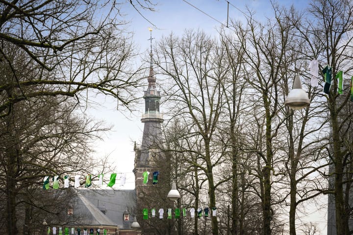 Foto 2 van Loolaan 41-156