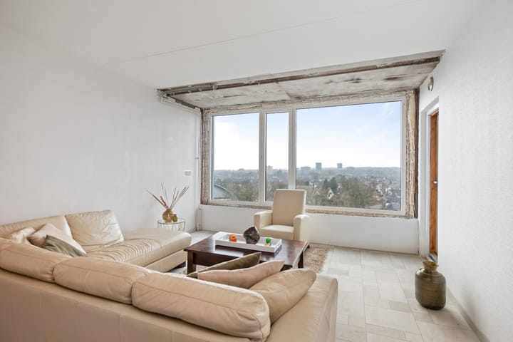 Foto 3 van Loolaan 41-156