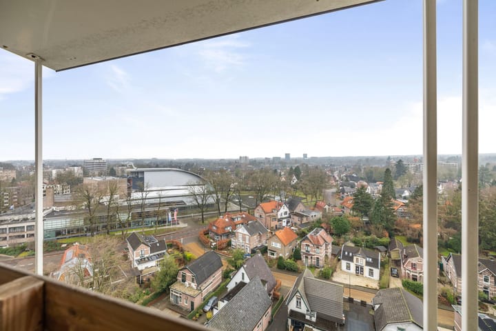 Foto 10 van Loolaan 41-156