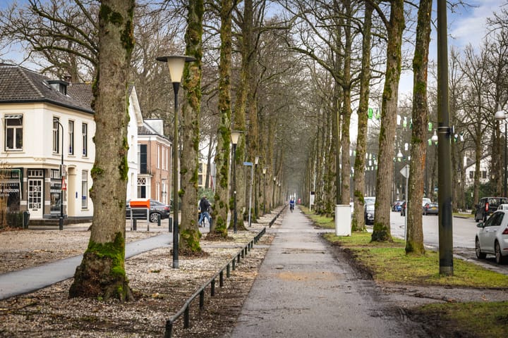 Foto 17 van Loolaan 41-156