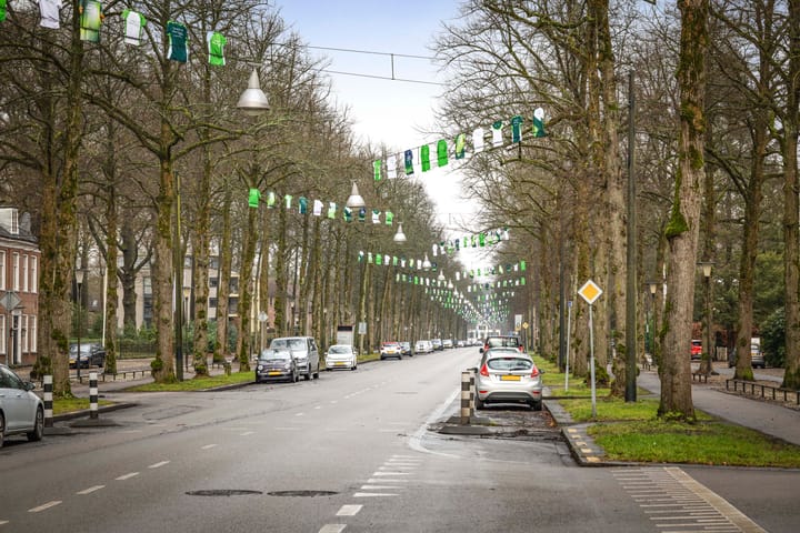 Foto 18 van Loolaan 41-156