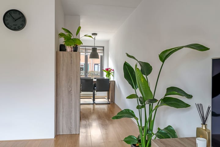 Foto 17 van De Dries 45