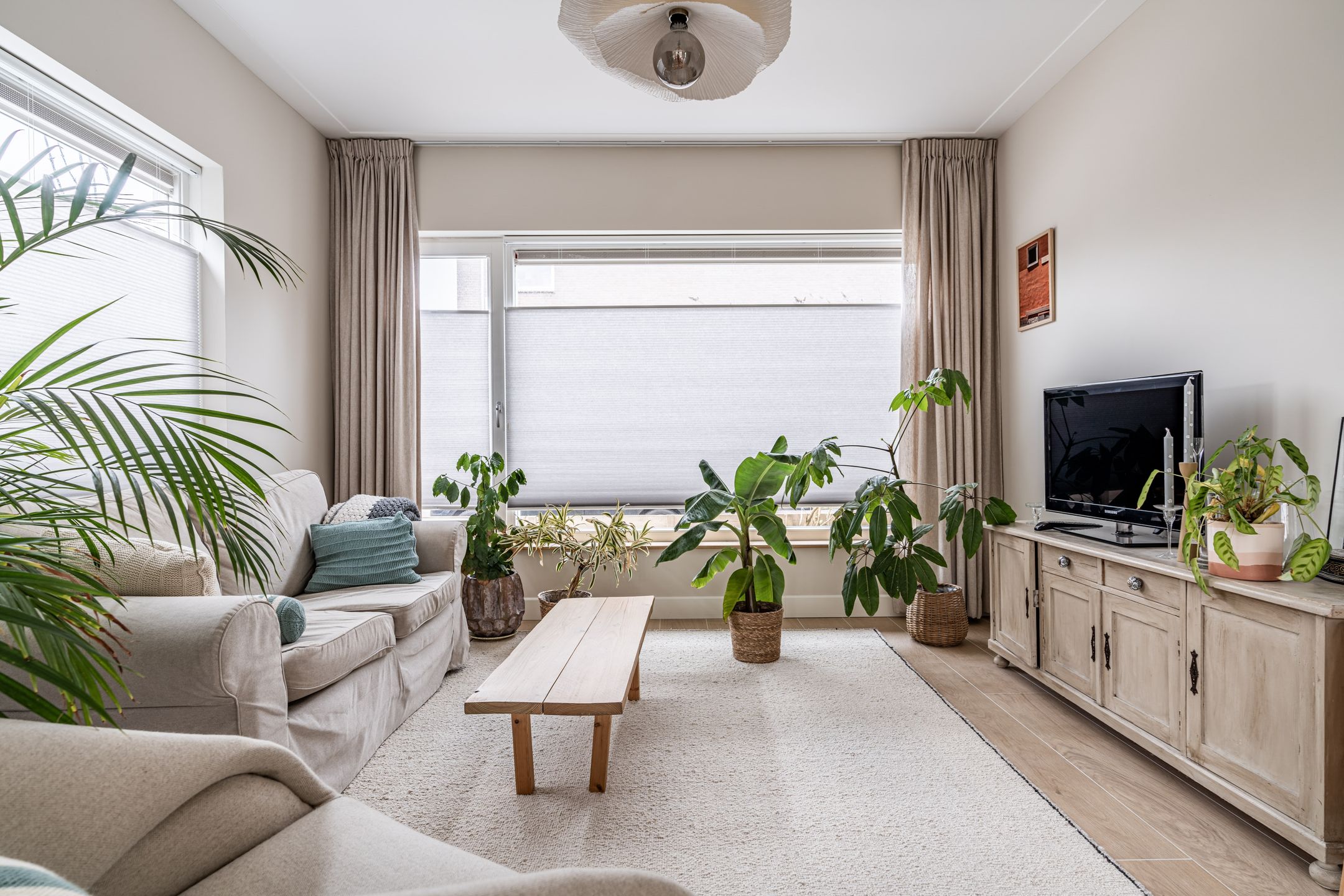 Foto 3 van van Wassenaarstraat 9