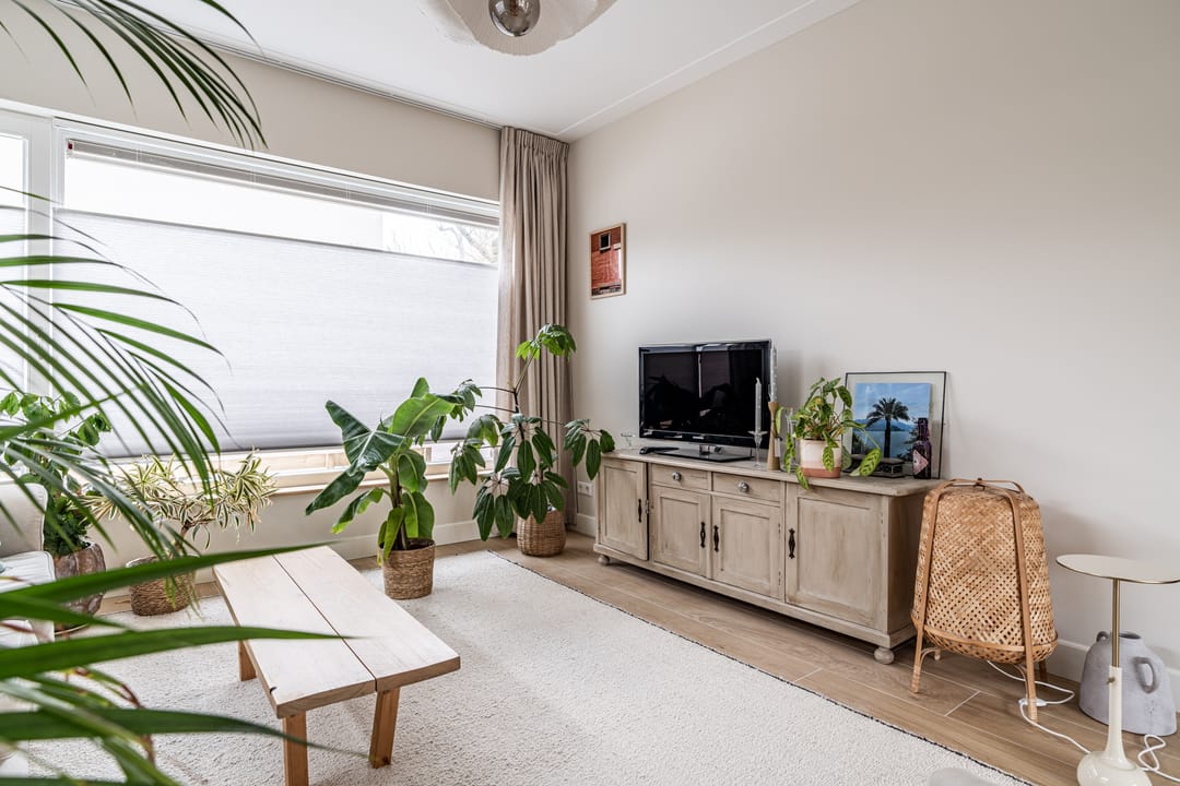 Foto 23 van van Wassenaarstraat 9