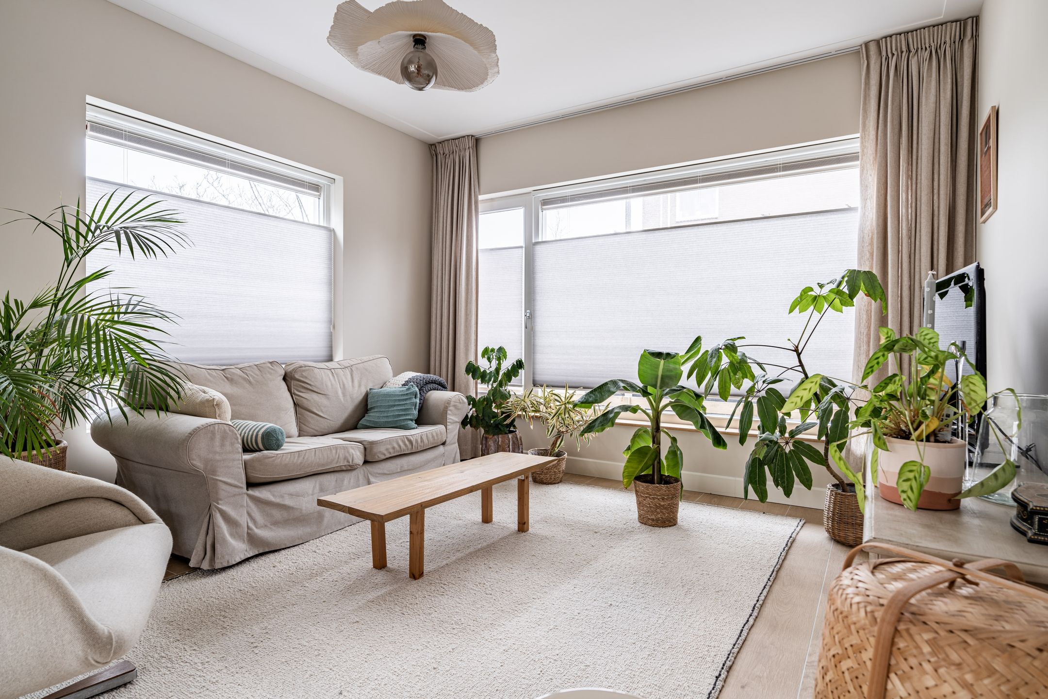 Foto 24 van van Wassenaarstraat 9