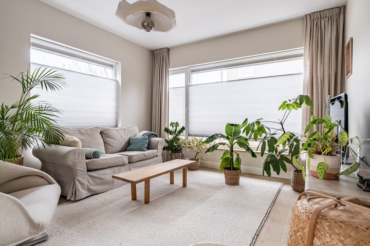 Foto 24 van van Wassenaarstraat 9