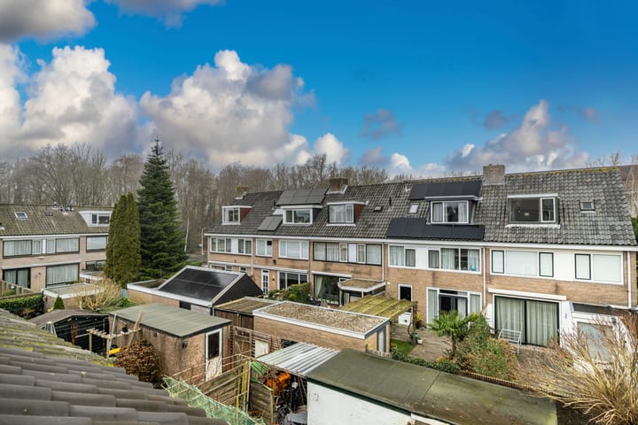 Foto 49 van van Wassenaarstraat 9