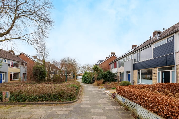 Foto 7 van Lodewijk de Vromestraat 22