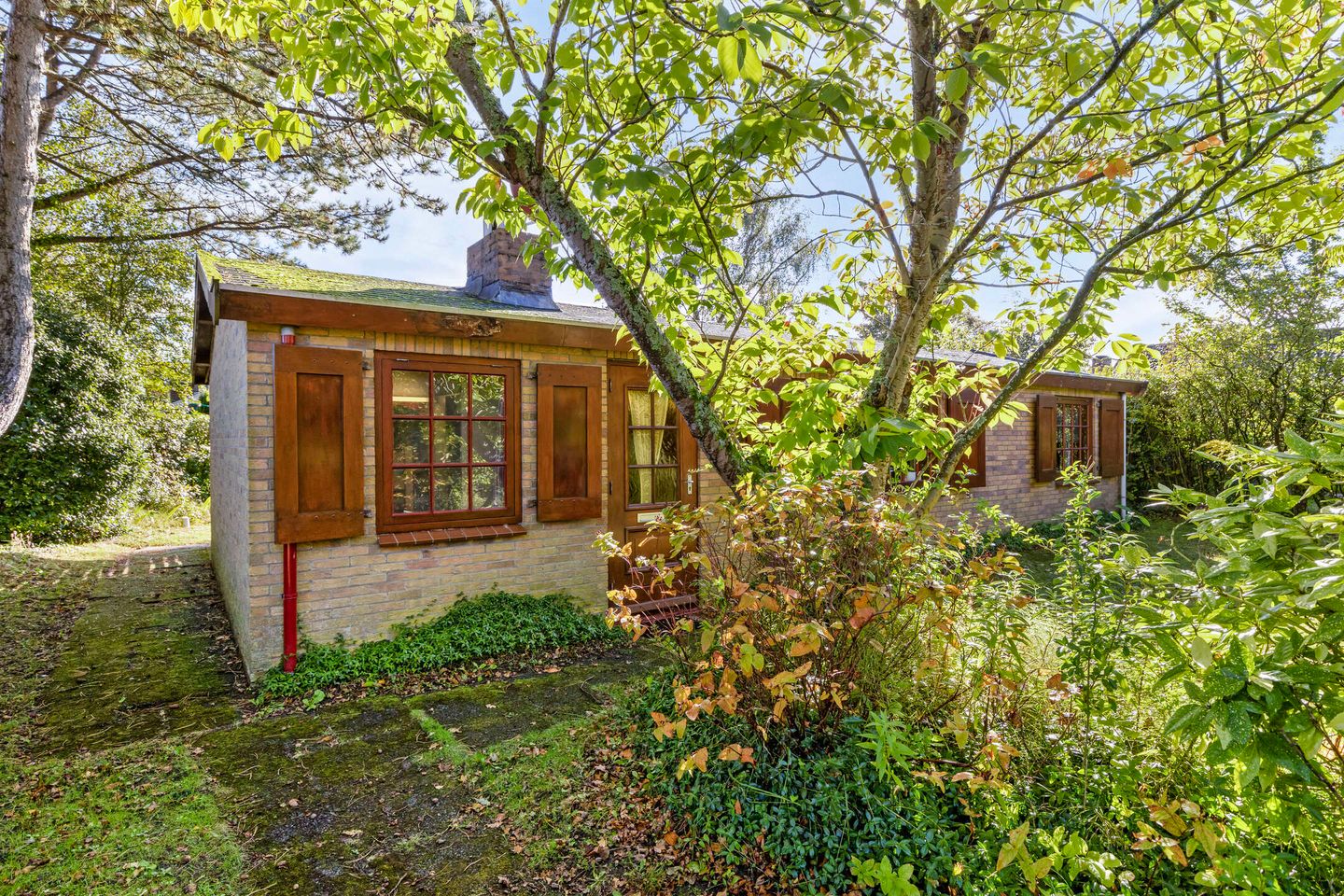 Photo 5 of Burgvliet 26