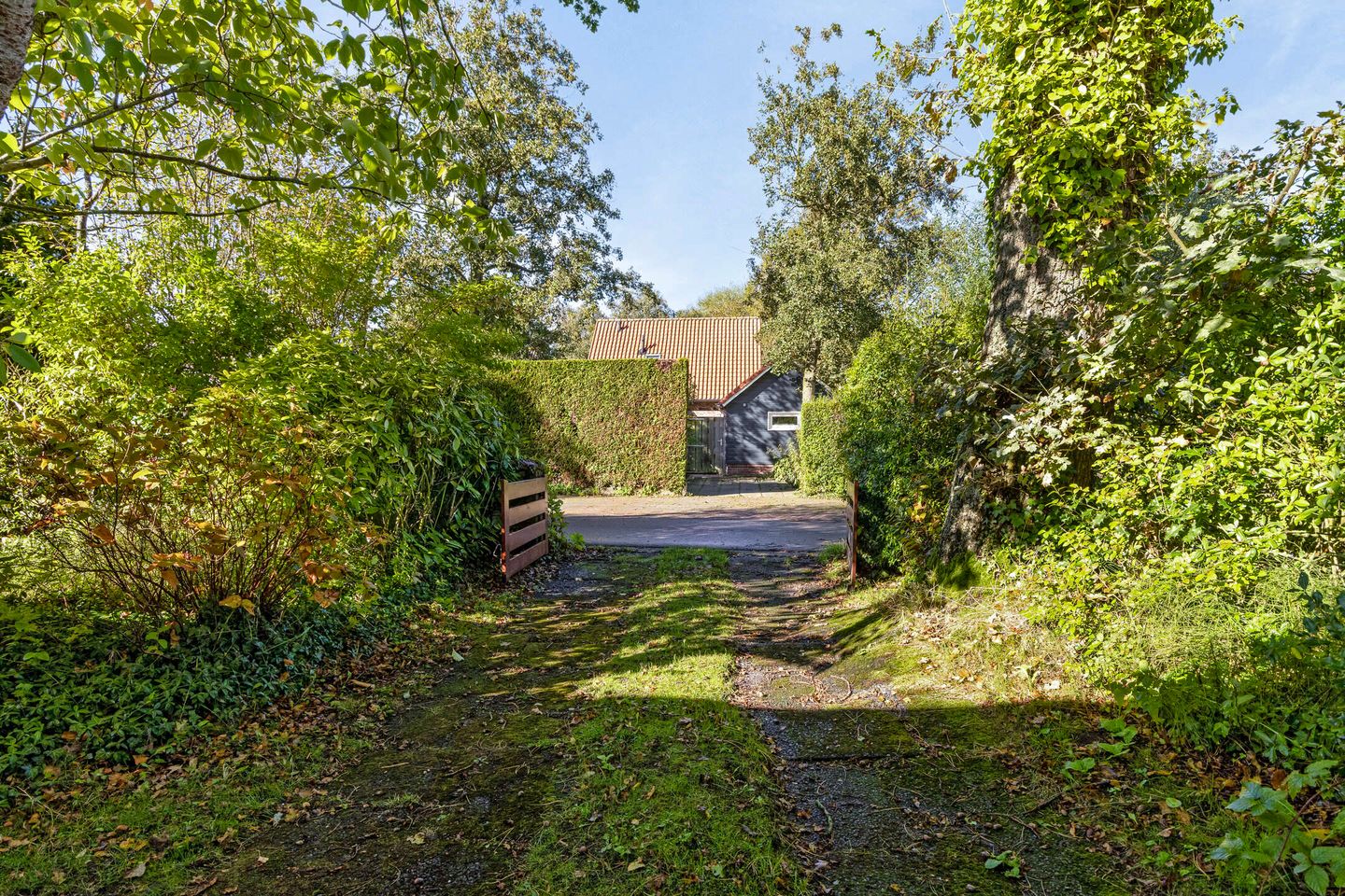 Photo 25 of Burgvliet 26