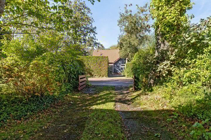 Foto 25 van Burgvliet 26