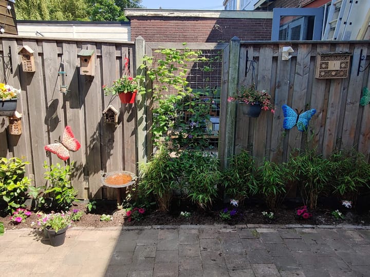 Foto 31 van Zandweg 172