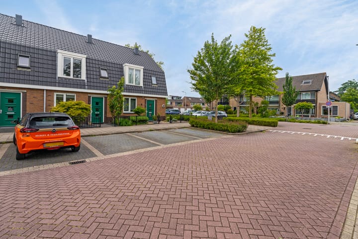 Foto 4 van Esdoorn 4