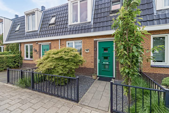 Foto 5 van Esdoorn 4