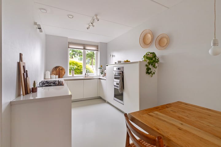 Foto 13 van Esdoorn 4