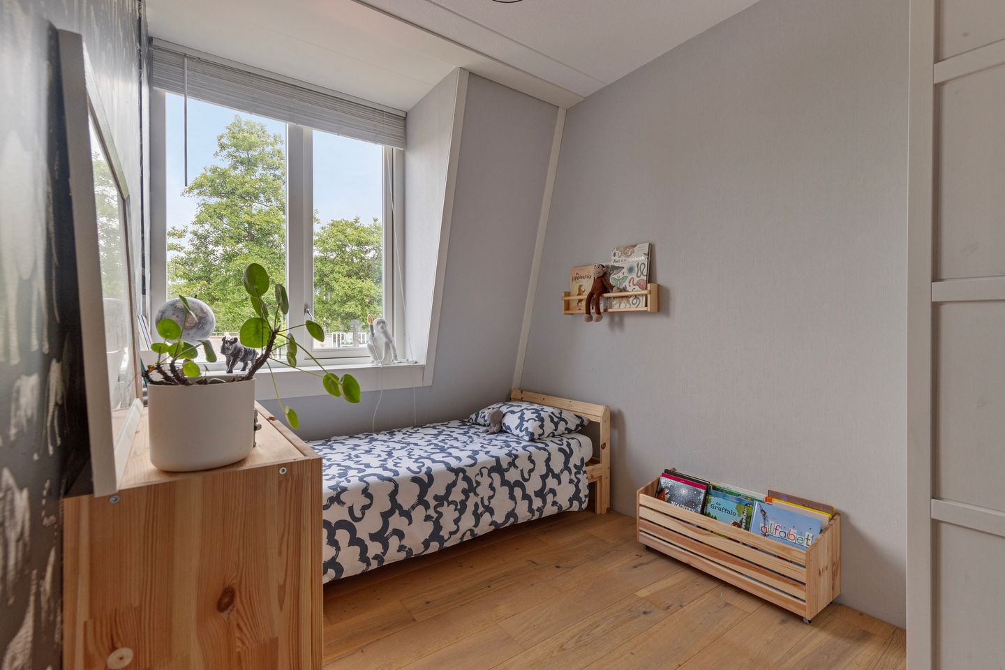 Foto 20 van Esdoorn 4