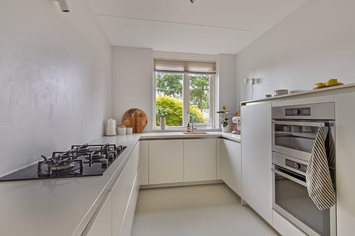 Foto 14 van Esdoorn 4