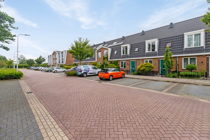 Foto 30 van Esdoorn 4