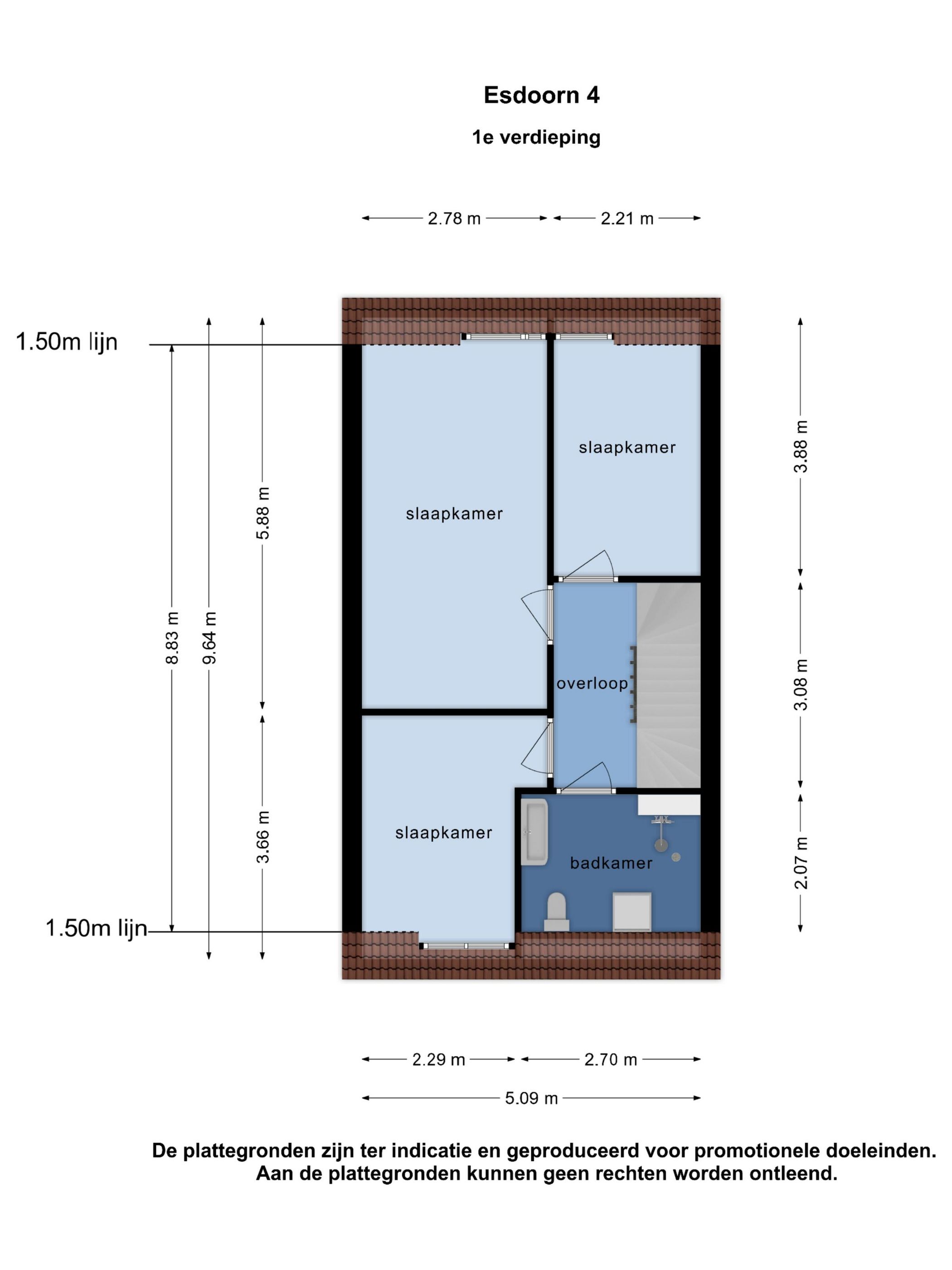 Foto 33 van Esdoorn 4